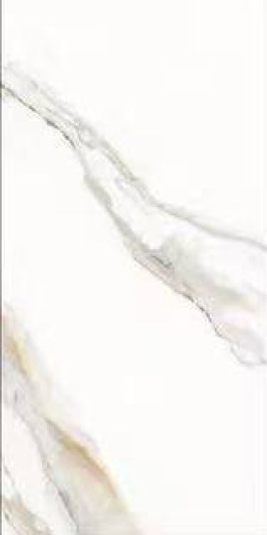 Time Lumidora Matte 12 x 24